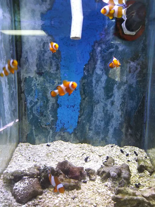 Somethin's Fishy Pet Shop Inc Picture 5