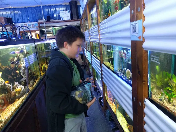 The Preferred Aquatics Collection Picture 7