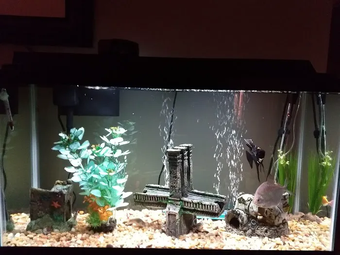 The Preferred Aquatics Collection Picture 5