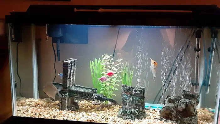 The Preferred Aquatics Collection Picture 3