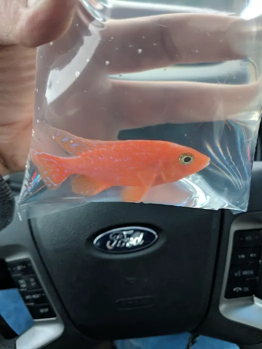 The Preferred Aquatics Collection Picture 9