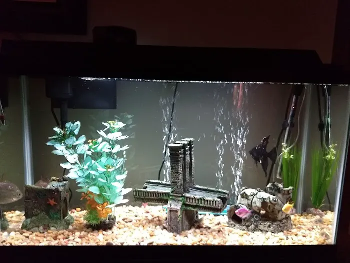 The Preferred Aquatics Collection Picture 4