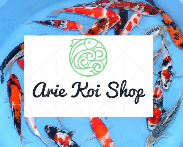 Arie Koi Shop Picture 9