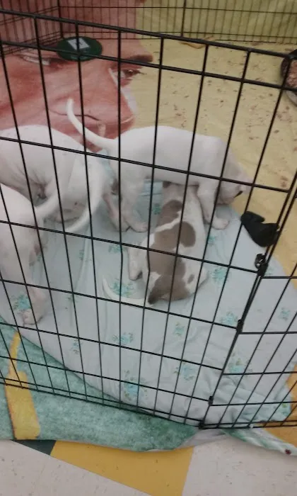 Pet Supplies Plus Howell Picture 4