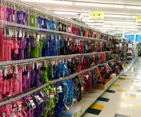Pet Supplies Plus Howell
