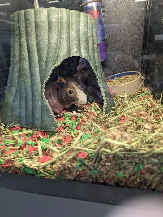 Pet Supplies Plus Howell Picture 6
