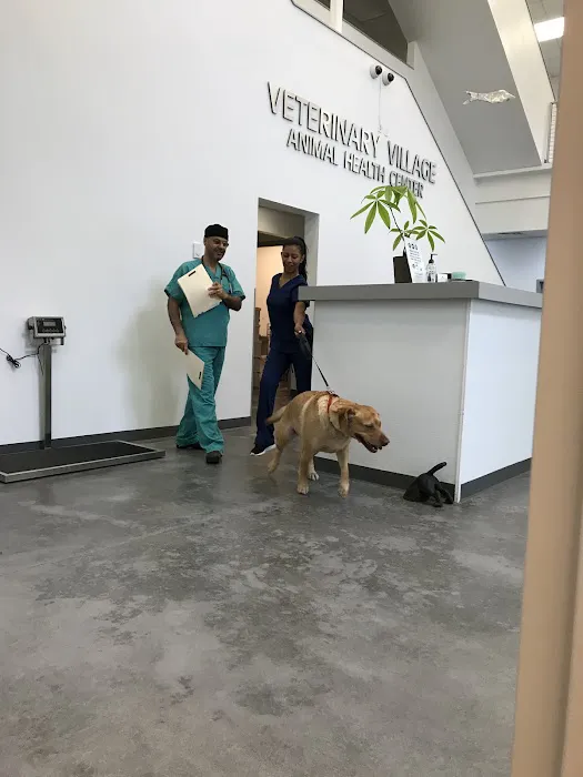 Animal Health Center Picture 5