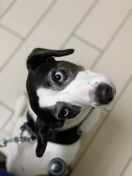 Armonk Veterinary Hospital Picture 1