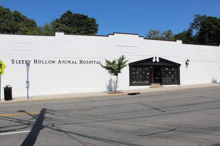 Sleepy Hollow Animal Hospital Picture 3