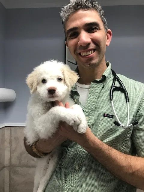 Sleepy Hollow Animal Hospital Picture 1