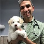 Sleepy Hollow Animal Hospital