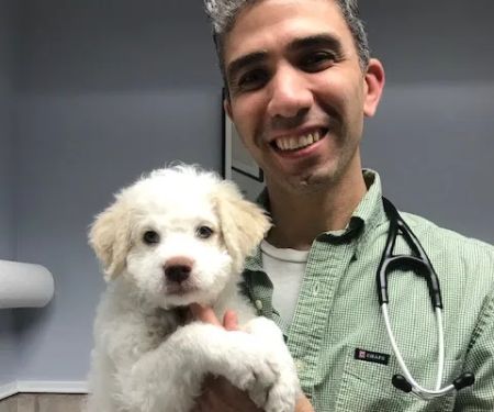 Sleepy Hollow Animal Hospital