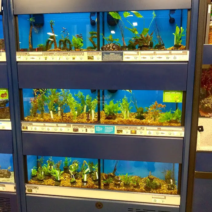 Petco Picture 9