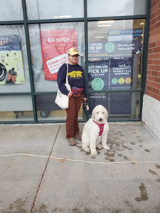 Petco Picture 2