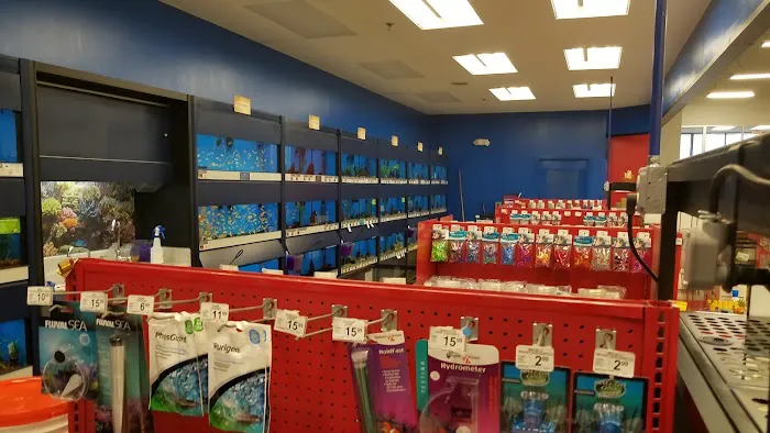 Petco Picture 4