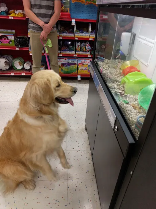 Petco Picture 5