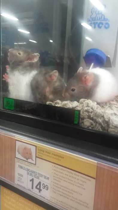 Petco Picture 1
