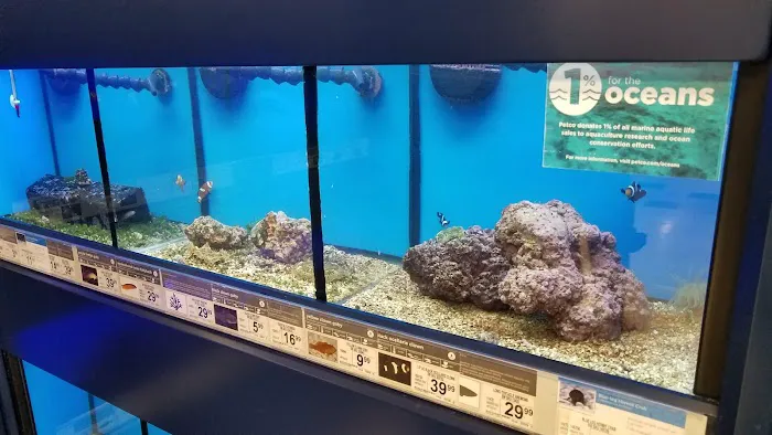 Petco Picture 6