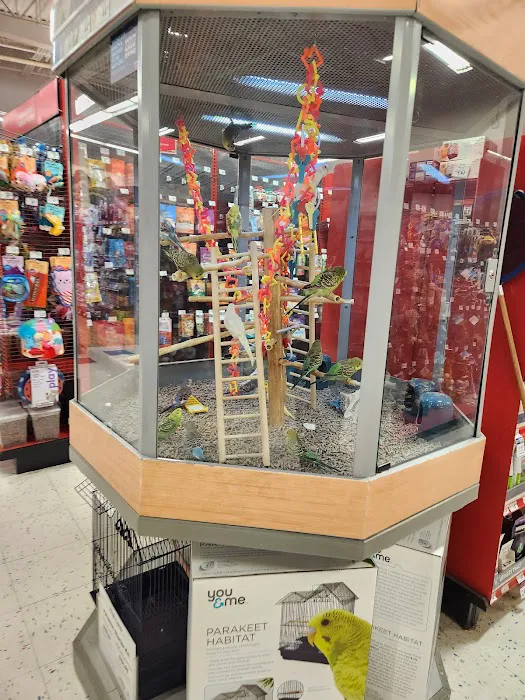 Petco Picture 8