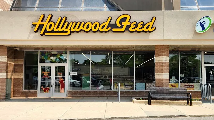 Hollywood Feed Picture 4