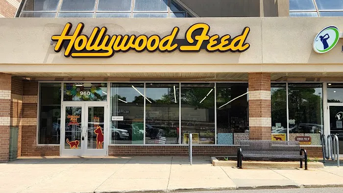 Hollywood Feed Picture 10