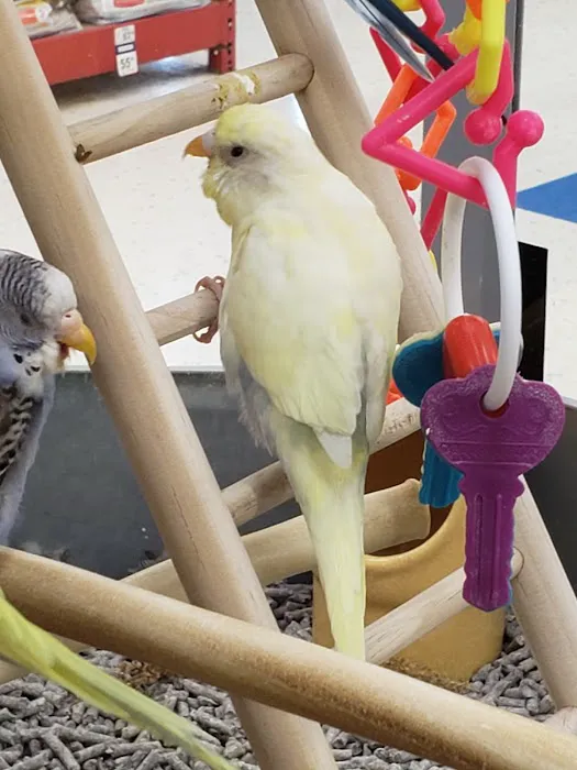Petco Picture 3