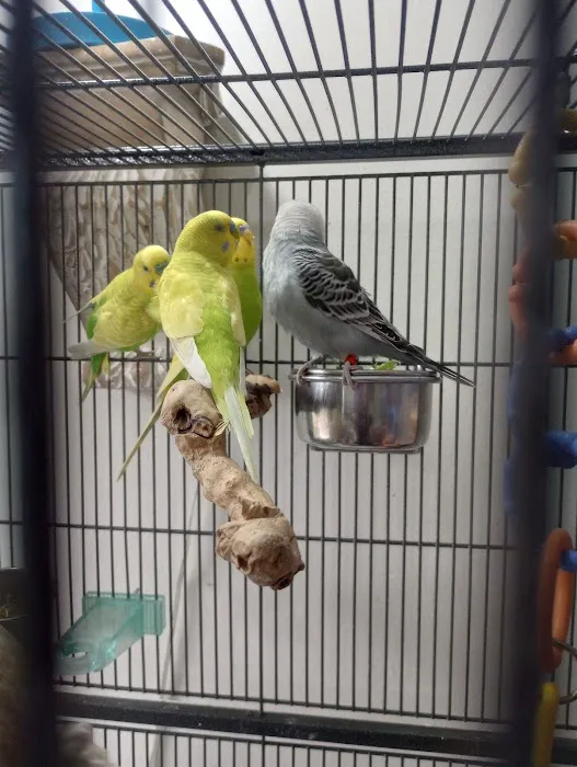 Petco Picture 10