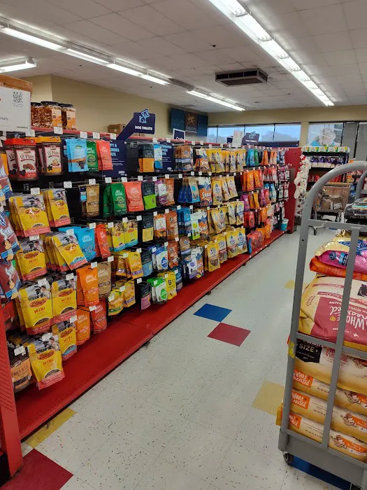 Petco Picture 7