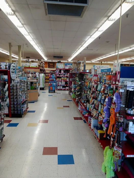 Petco Picture 8