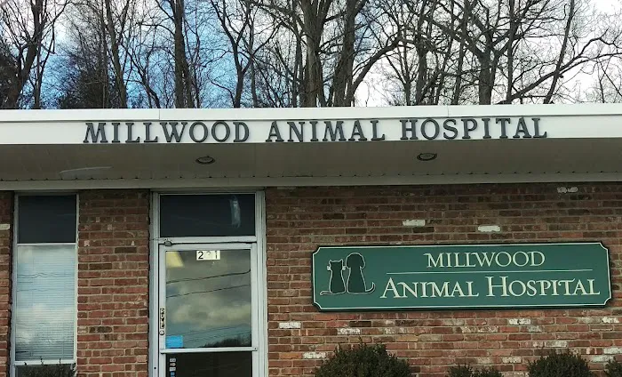 Millwood Animal Hospital Picture 5