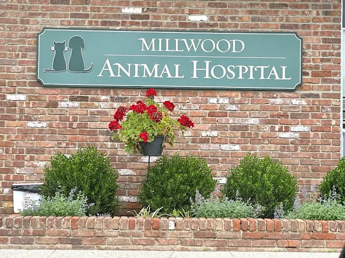 Millwood Animal Hospital Picture 3