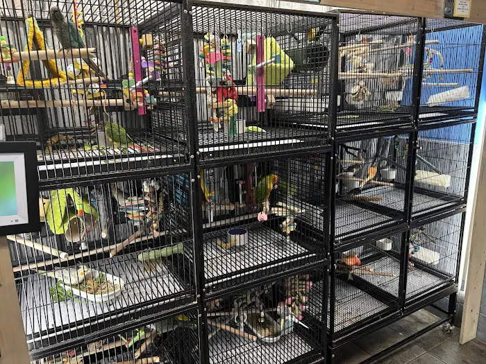 House of Pets Inc Picture 3