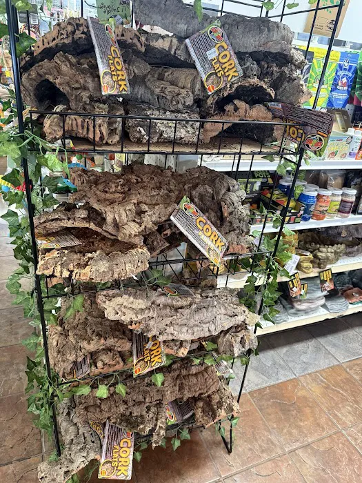 House of Pets Inc Picture 7