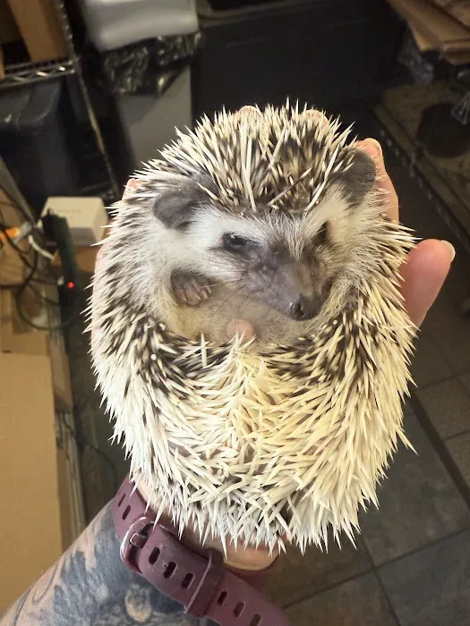 House of Pets Inc Picture 8