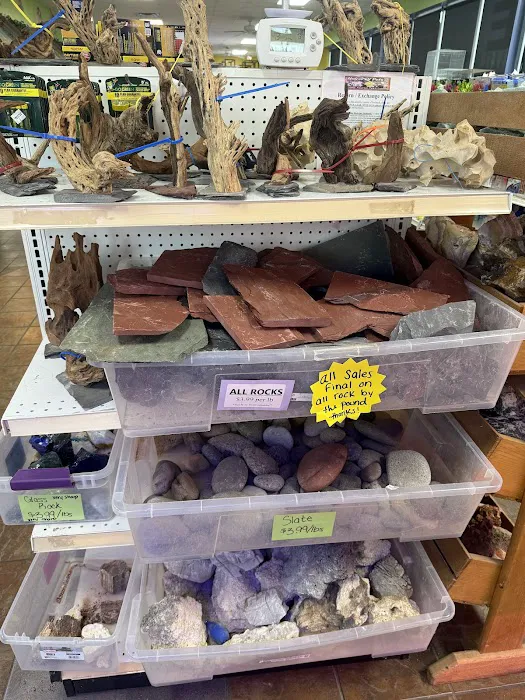 House of Pets Inc Picture 10