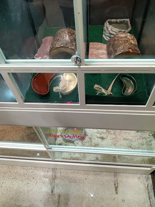 Premier Pet Supply Picture 8