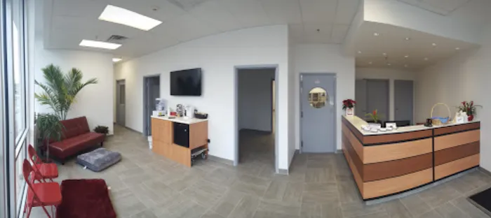 Animal Dermatology Clinic Picture 6