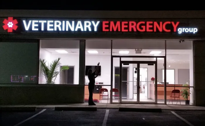 Animal Dermatology Clinic Picture 7