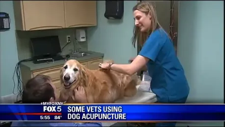 Park Animal Hospital Picture 2
