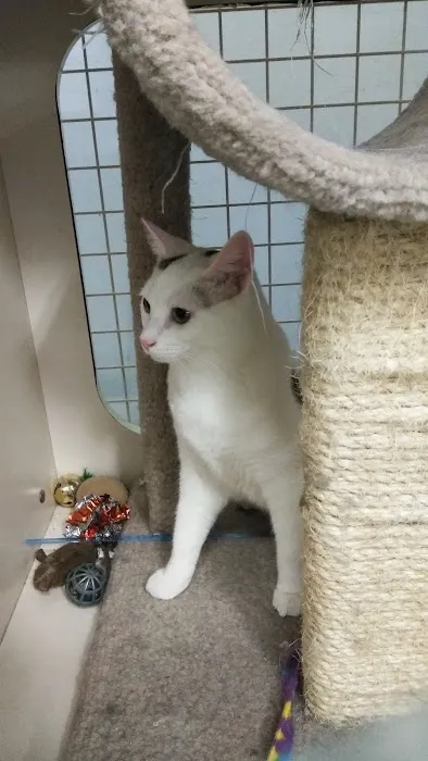Petco Picture 5