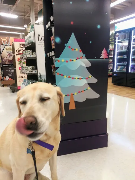 Petco Picture 8