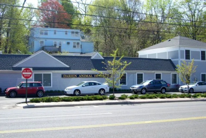VCA Darien Animal Hospital Picture 8