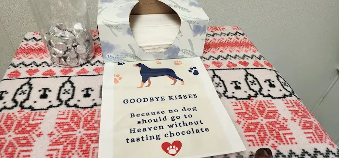 VCA Darien Animal Hospital Picture 2