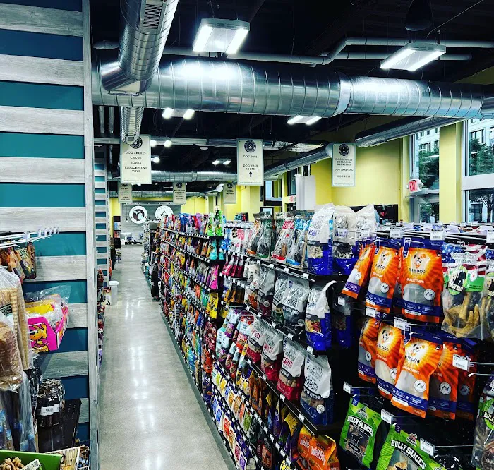 Premier Pet Supply Picture 9