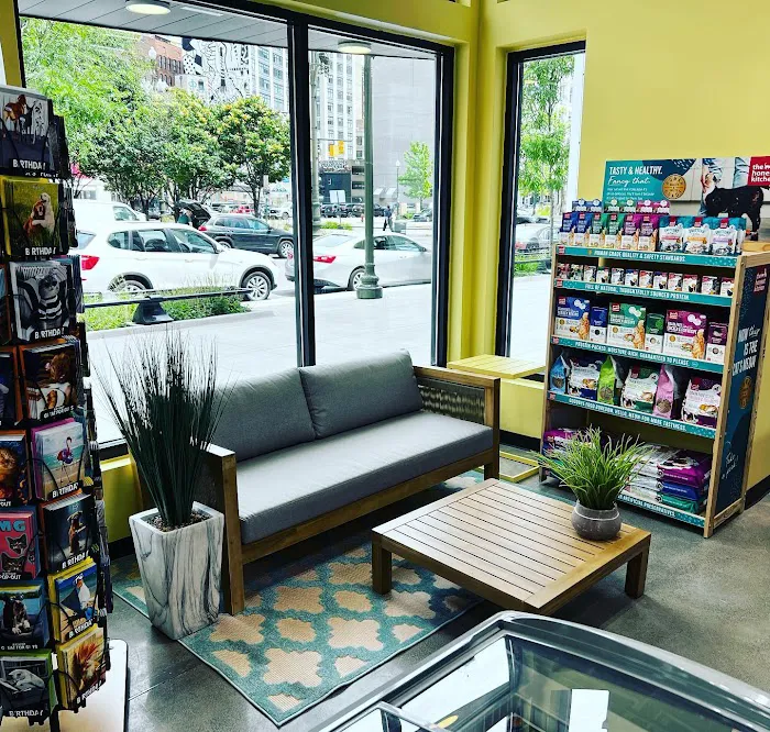 Premier Pet Supply Picture 10