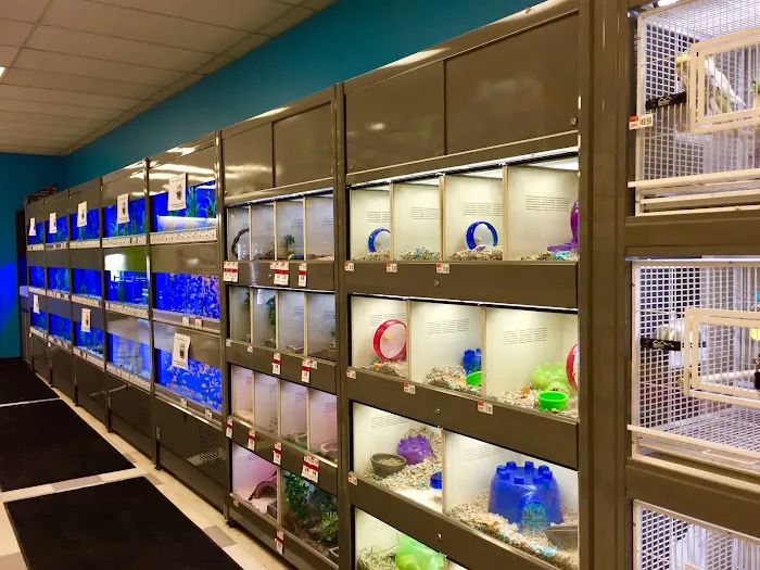 Pet Supplies Plus Dearborn Picture 8