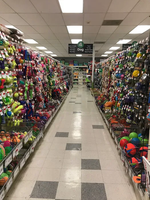Pet Supplies Plus Dearborn Picture 10