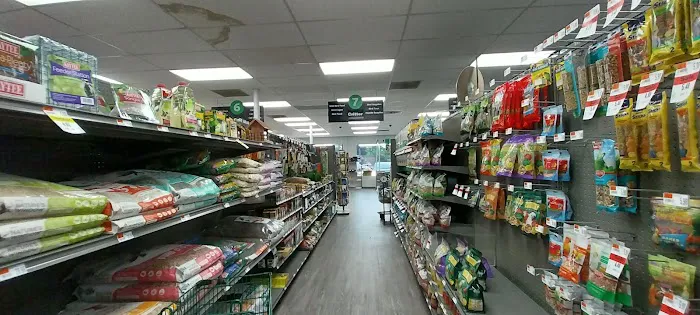 Pet Supplies Plus Dearborn Picture 4