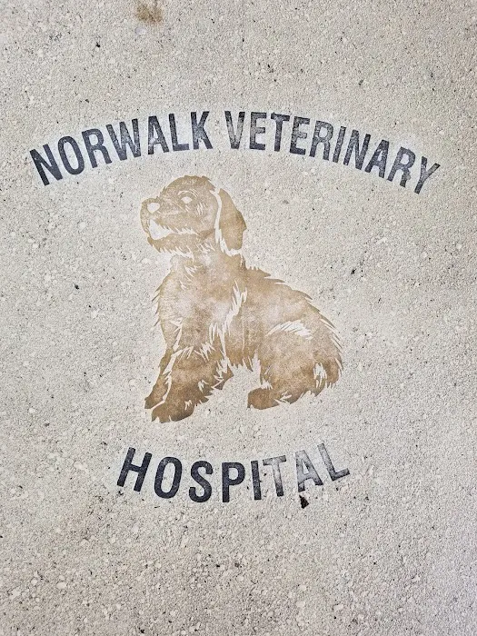 Norwalk Veterinary Hospital and The Boarding House Picture 5