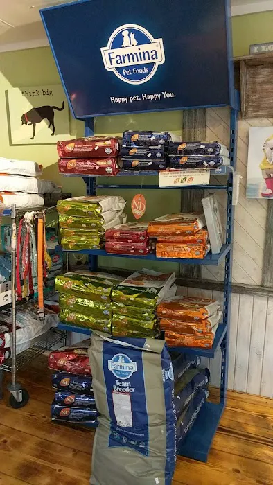 Lucy's Dog House Picture 8